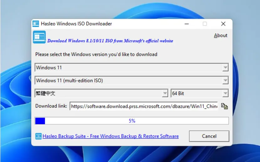 Hasleo Windows ISO 快速下載 Windows 11/10/8.1 ISO 檔的免費工具