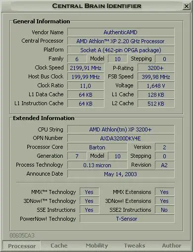 「Central Brain Identifier」AMD CPU 的檢測工具